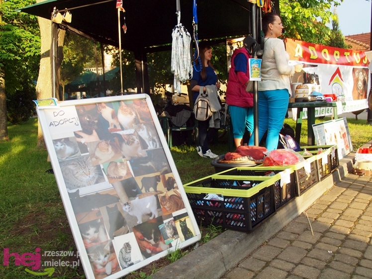 Majówka u Hrabiego - część 2