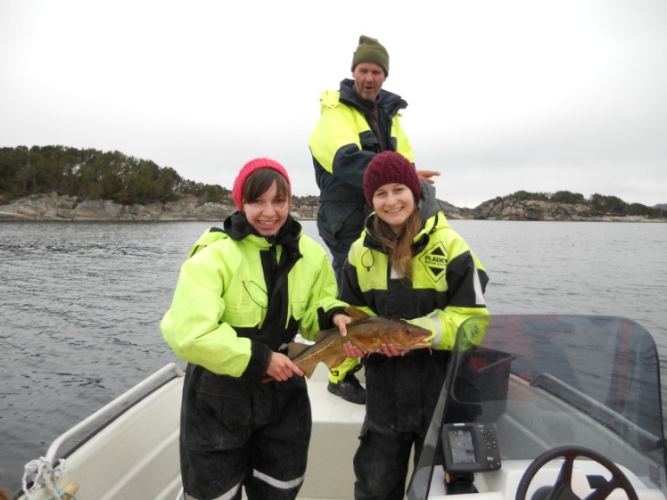 Zespół Szkół Budowlanych prezentuje architekturę Mielca w Norwegii