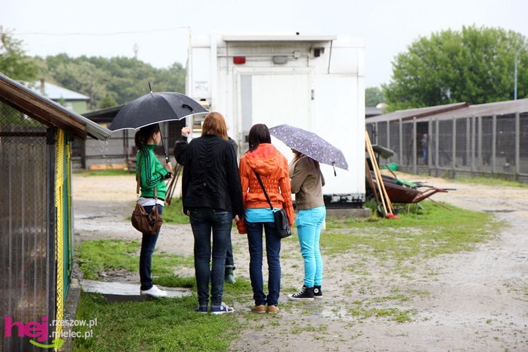 Pierwszy dzień otwarty schroniska dla zwierząt w Mielcu