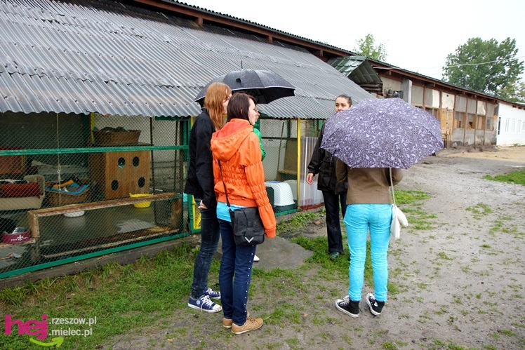 Pierwszy dzień otwarty schroniska dla zwierząt w Mielcu