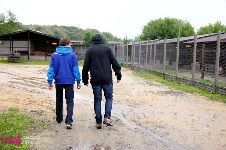 Pierwszy dzień otwarty schroniska dla zwierząt w Mielcu