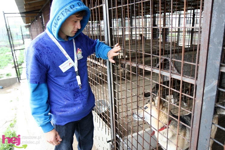 Pierwszy dzień otwarty schroniska dla zwierząt w Mielcu