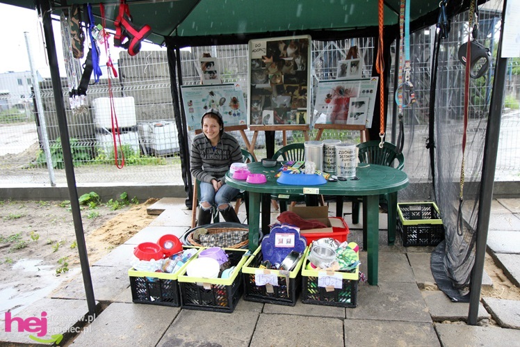 Pierwszy dzień otwarty schroniska dla zwierząt w Mielcu