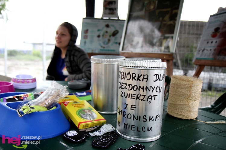 Pierwszy dzień otwarty schroniska dla zwierząt w Mielcu