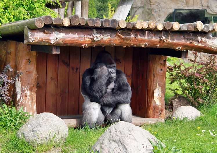 Uczniowie z Wadowic Dolnych i Izbisk na wycieczce w Warszawie