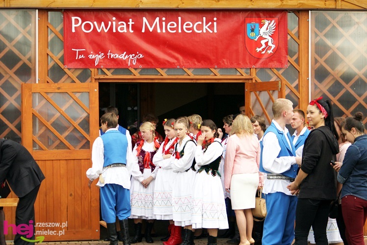 Powiatowy Przegląd Kapel Ludowych i Zespołów Folklorystycznych 2013