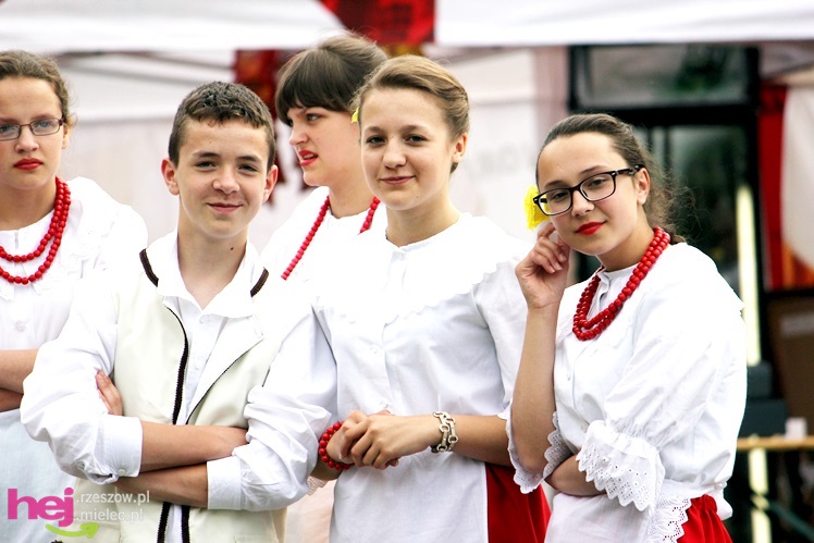 Powiatowy Przegląd Kapel Ludowych i Zespołów Folklorystycznych 2013