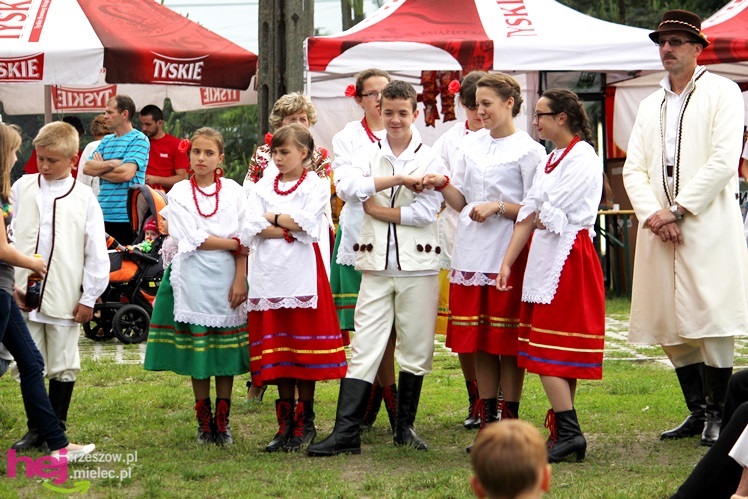 Powiatowy Przegląd Kapel Ludowych i Zespołów Folklorystycznych 2013