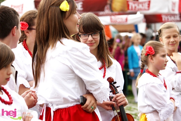 Powiatowy Przegląd Kapel Ludowych i Zespołów Folklorystycznych 2013