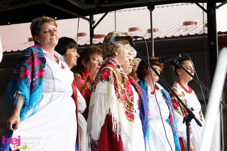 Powiatowy Przegląd Kapel Ludowych i Zespołów Folklorystycznych 2013