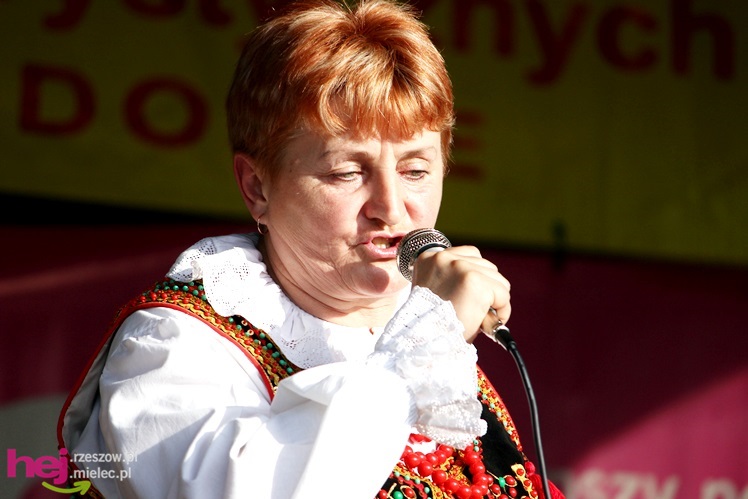 Powiatowy Przegląd Kapel Ludowych i Zespołów Folklorystycznych 2013