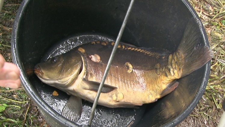 Wędkarski Dzień Dziecka: przyjechał marszałek województwa i poseł na Sejm