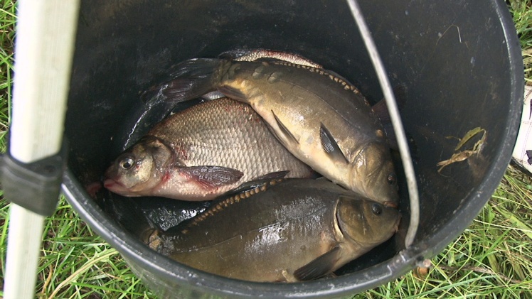 Wędkarski Dzień Dziecka: przyjechał marszałek województwa i poseł na Sejm