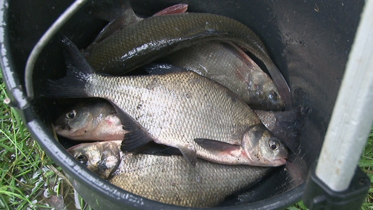 Wędkarski Dzień Dziecka: przyjechał marszałek województwa i poseł na Sejm