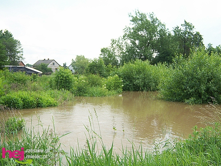 Podtopienia po nocnej ulewie. Problemy w Trześni, Ławnicy, Czajkowej i okolicy