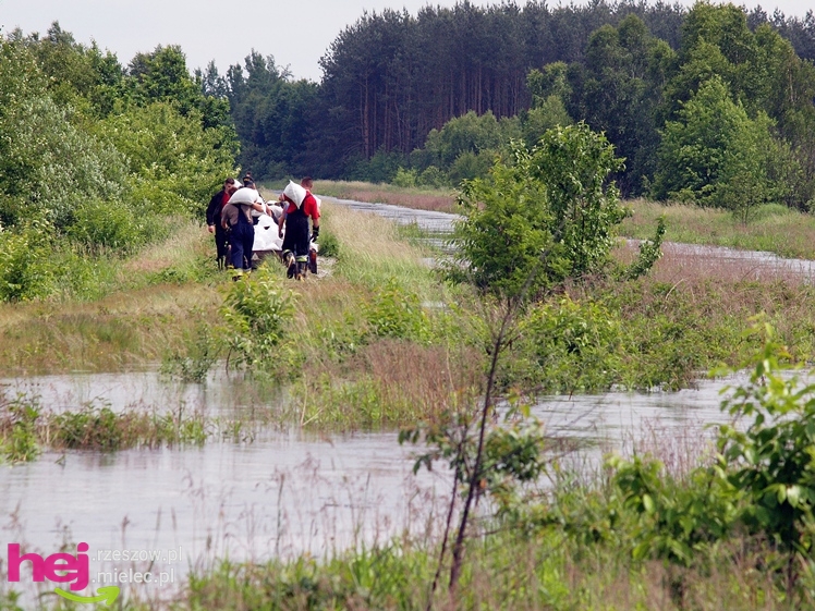 Podtopienia po nocnej ulewie. Problemy w Trześni, Ławnicy, Czajkowej i okolicy