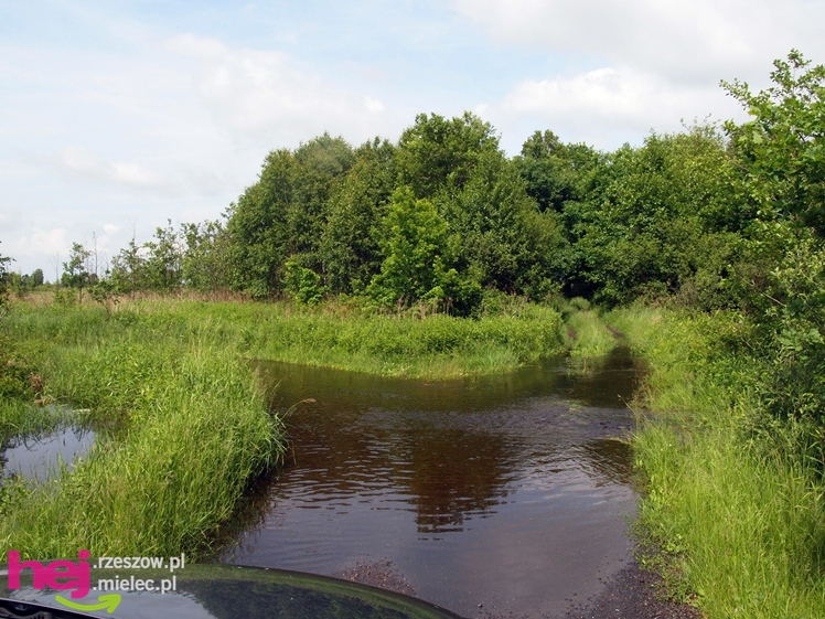 Podtopienia po nocnej ulewie. Problemy w Trześni, Ławnicy, Czajkowej i okolicy