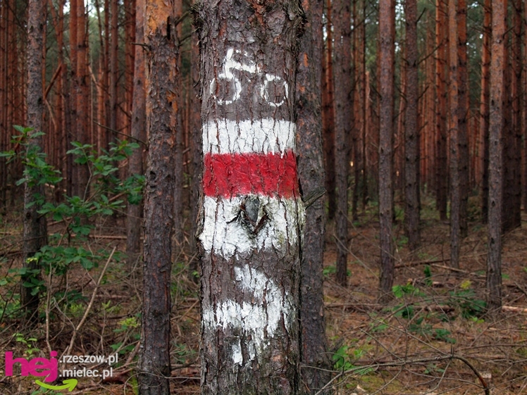 Pierwsza Mielecka Impreza Turystyczna za nami