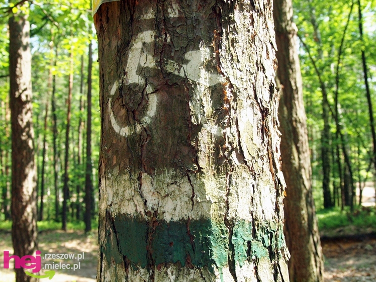 Pierwsza Mielecka Impreza Turystyczna za nami