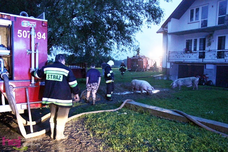 Burza w regionie: pożar chlewni w Wadowicach Górnych