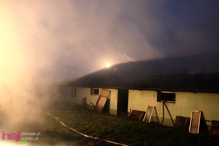 Burza w regionie: pożar chlewni w Wadowicach Górnych