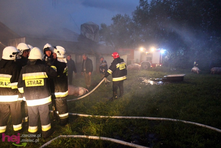 Burza w regionie: pożar chlewni w Wadowicach Górnych