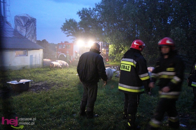 Burza w regionie: pożar chlewni w Wadowicach Górnych