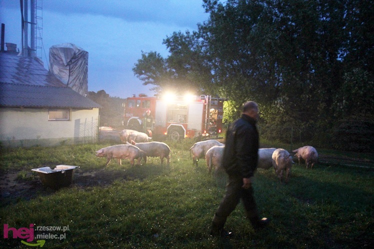 Burza w regionie: pożar chlewni w Wadowicach Górnych