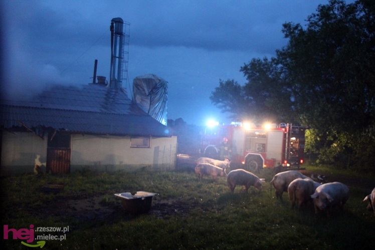 Burza w regionie: pożar chlewni w Wadowicach Górnych