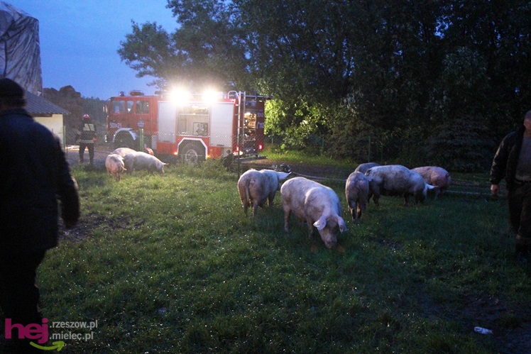 Burza w regionie: pożar chlewni w Wadowicach Górnych