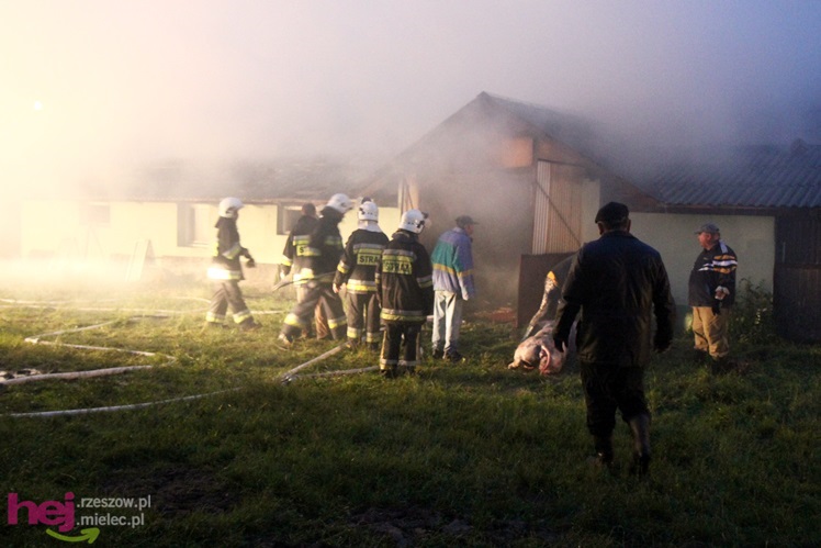 Burza w regionie: pożar chlewni w Wadowicach Górnych