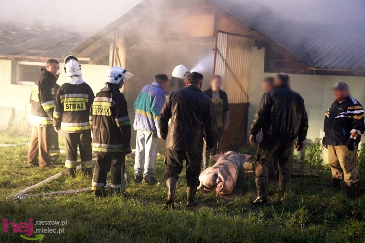 Burza w regionie: pożar chlewni w Wadowicach Górnych