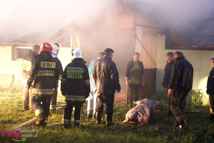 Burza w regionie: pożar chlewni w Wadowicach Górnych