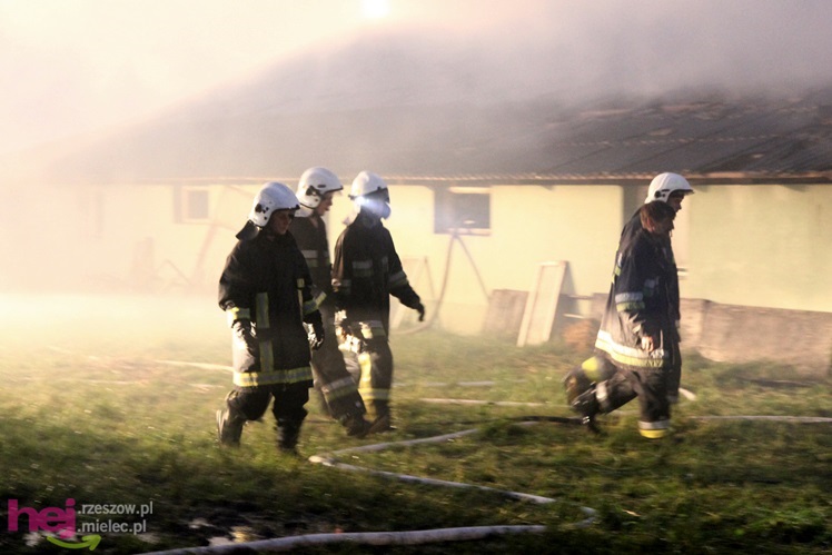 Burza w regionie: pożar chlewni w Wadowicach Górnych