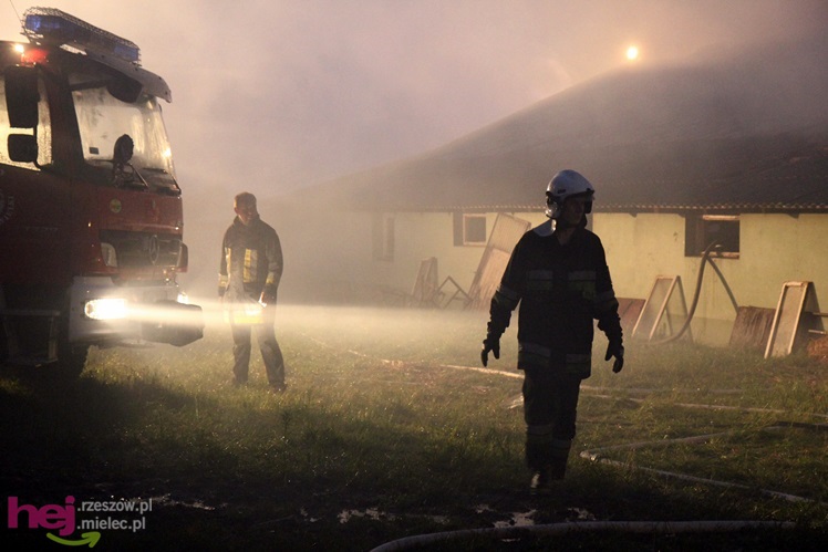 Burza w regionie: pożar chlewni w Wadowicach Górnych
