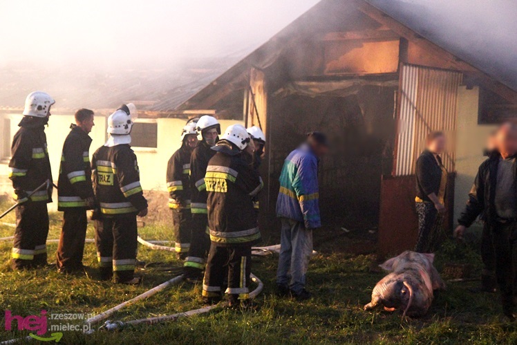 Burza w regionie: pożar chlewni w Wadowicach Górnych