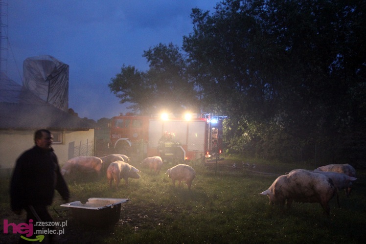 Burza w regionie: pożar chlewni w Wadowicach Górnych