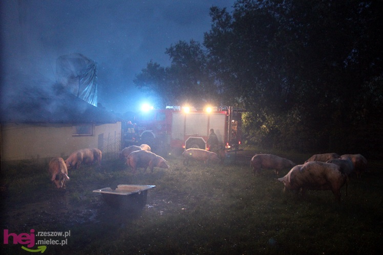 Burza w regionie: pożar chlewni w Wadowicach Górnych