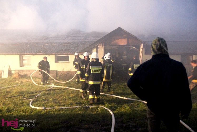 Burza w regionie: pożar chlewni w Wadowicach Górnych