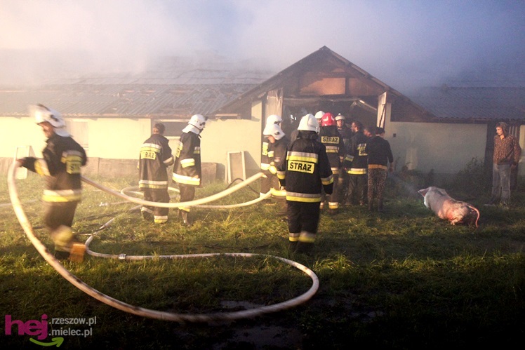 Burza w regionie: pożar chlewni w Wadowicach Górnych