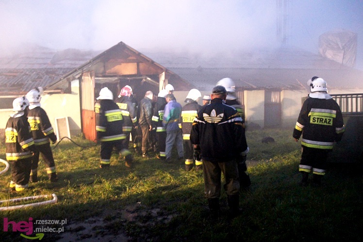 Burza w regionie: pożar chlewni w Wadowicach Górnych
