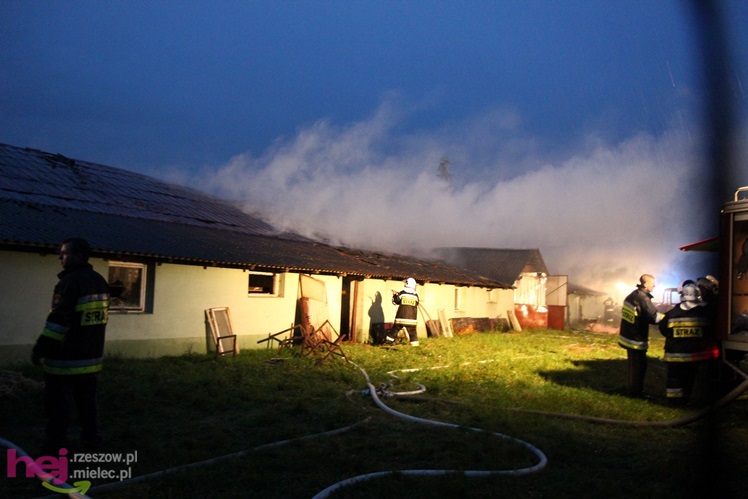 Burza w regionie: pożar chlewni w Wadowicach Górnych