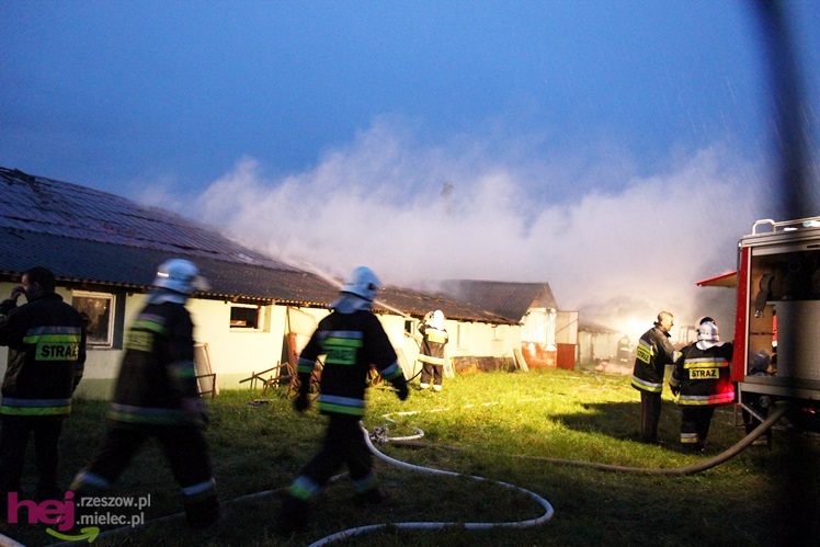 Burza w regionie: pożar chlewni w Wadowicach Górnych