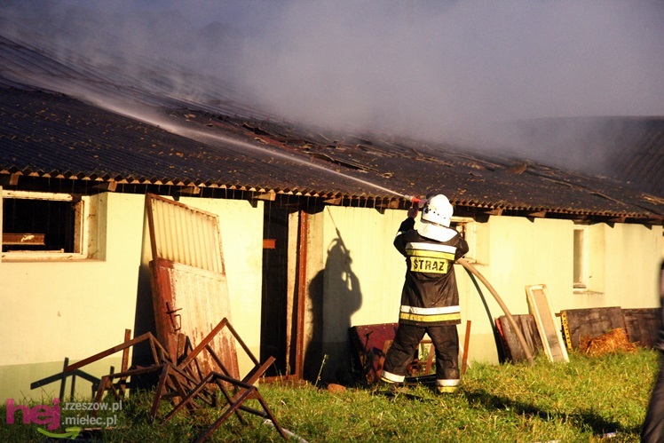 Burza w regionie: pożar chlewni w Wadowicach Górnych