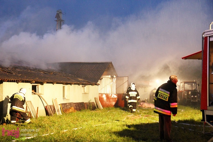 Burza w regionie: pożar chlewni w Wadowicach Górnych