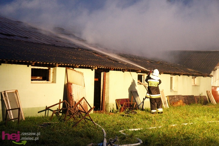 Burza w regionie: pożar chlewni w Wadowicach Górnych