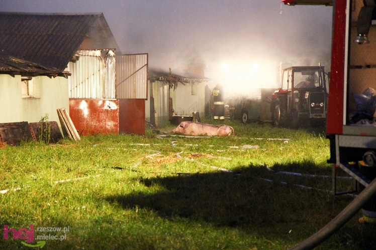 Burza w regionie: pożar chlewni w Wadowicach Górnych