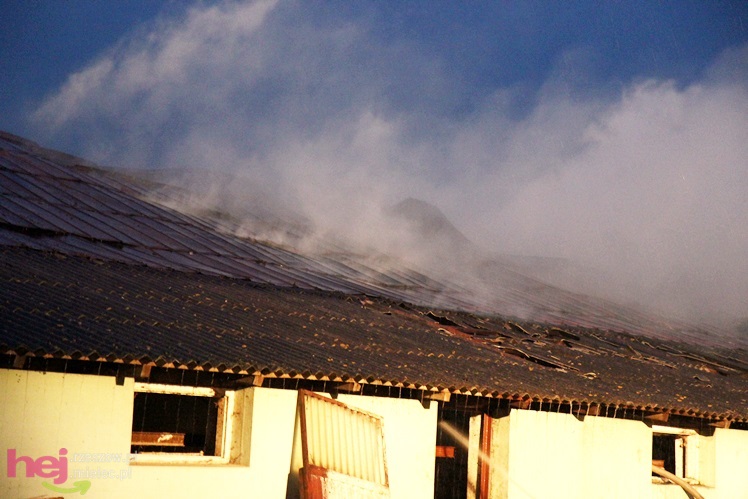 Burza w regionie: pożar chlewni w Wadowicach Górnych