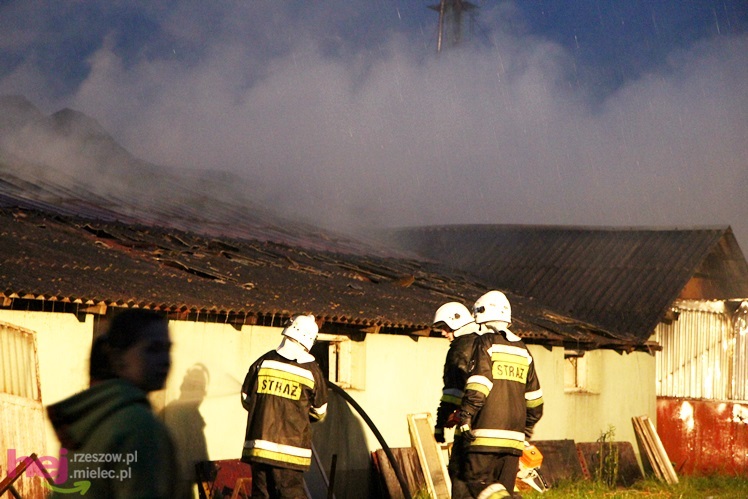 Burza w regionie: pożar chlewni w Wadowicach Górnych