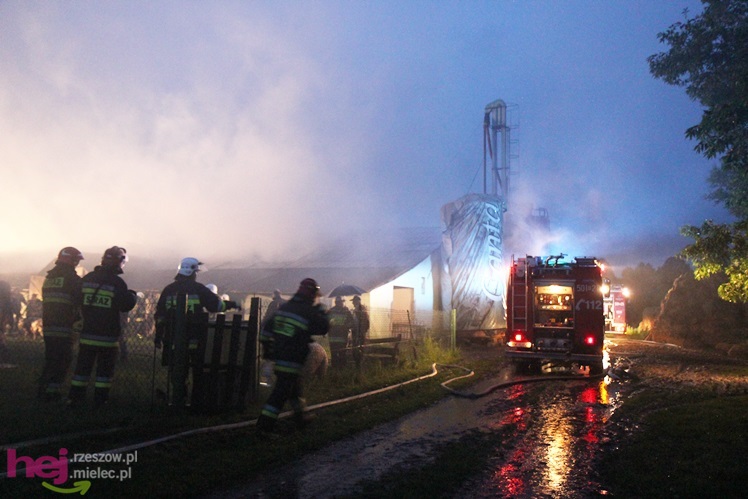Burza w regionie: pożar chlewni w Wadowicach Górnych